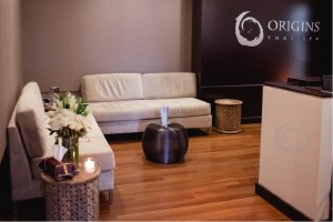 Origins-Spa-1015-2